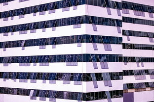 爱游戏app推荐-体育新闻中心推动体育赛事版权保护法律体系建设,体育赛事版权如何保护 第2张